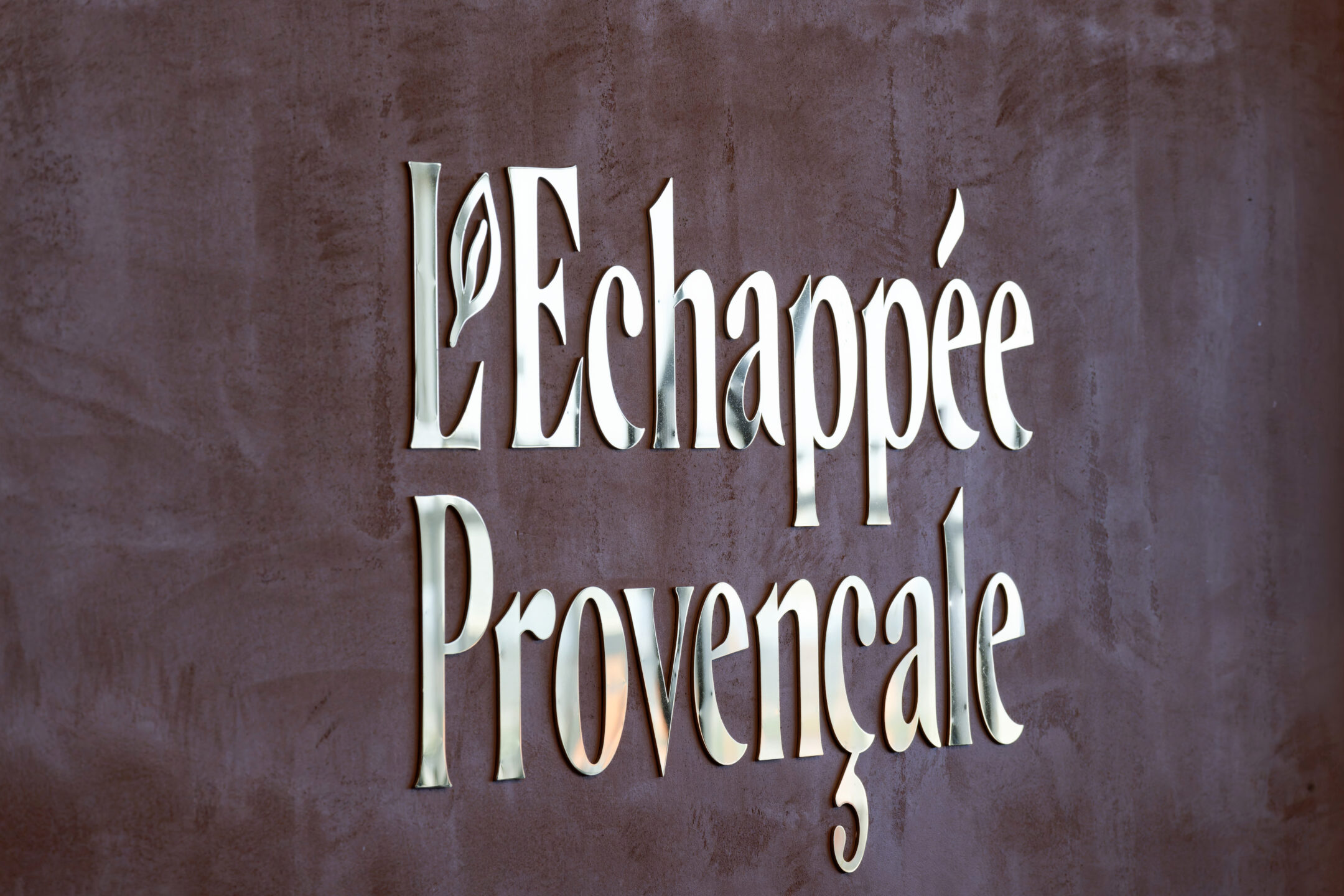 ECHAPPE PROVENCALE AEROPORT6