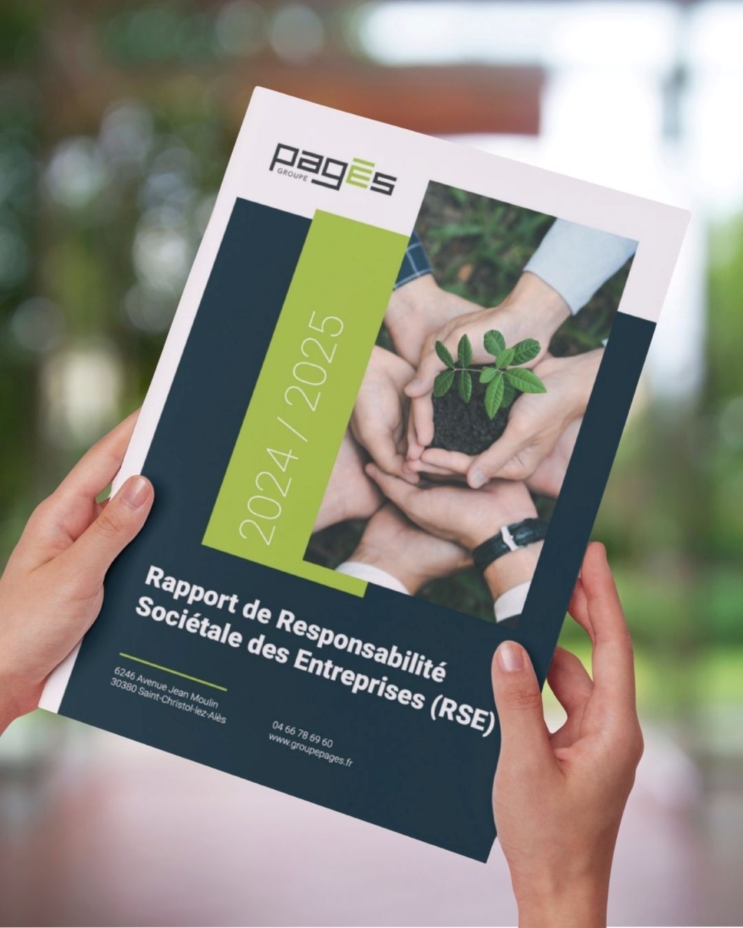 rapport rse vitrine magasin pâtisserie